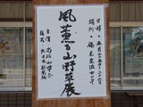 風薫る山野草展 開催中