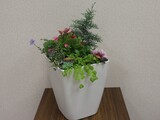 第１回花の講座開催しました🏵️